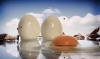 J C  Eggscape - Andrew Lloyd - Llanelli P S.jpg
